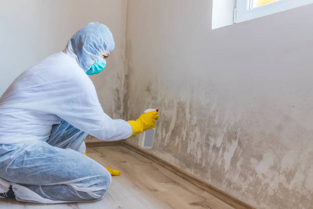 Licensed Mold Testing service in Haw River, NC - WQB Mold Removal