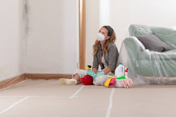 Reliable Mold Testing contractor in Haw River, NC by WQB Mold Removal